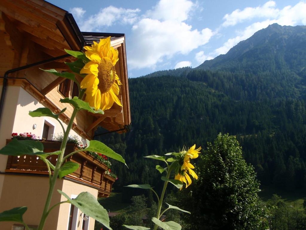 Arche Hof Oebristhof Apartamento Kleinarl Exterior foto
